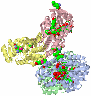 Image Asym./Biol. Unit - sites