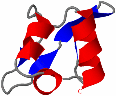 Image NMR Structure - model 1