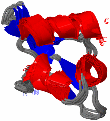 Image NMR Structure - all models