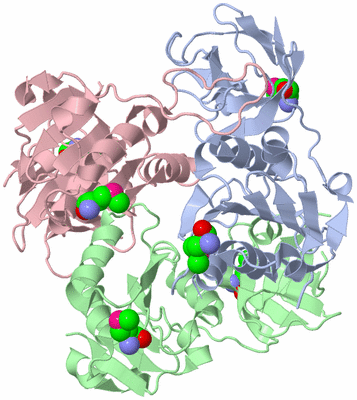 Image Asym./Biol. Unit