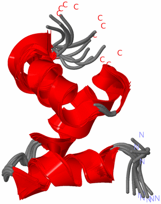 Image NMR Structure - all models