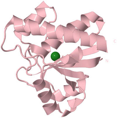 Image Biological Unit 3