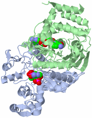 Image Asym./Biol. Unit