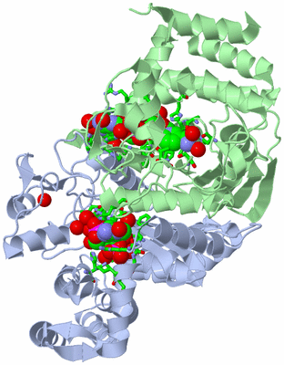 Image Asym./Biol. Unit - sites