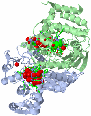 Image Asym./Biol. Unit - sites