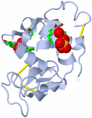 Image Biol. Unit 1 - sites