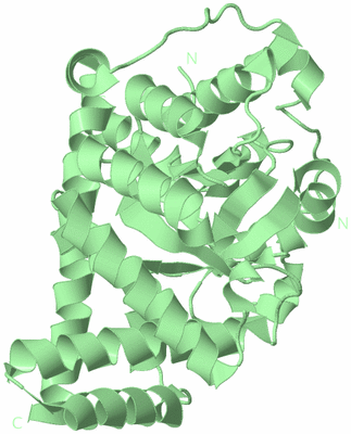 Image Biological Unit 2