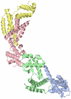Image Asymmetric Unit