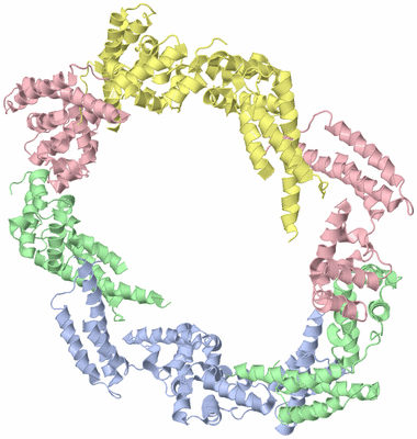 Image Biological Unit 1