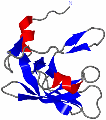 Image Asymmetric Unit