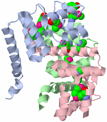 Image Asymmetric Unit
