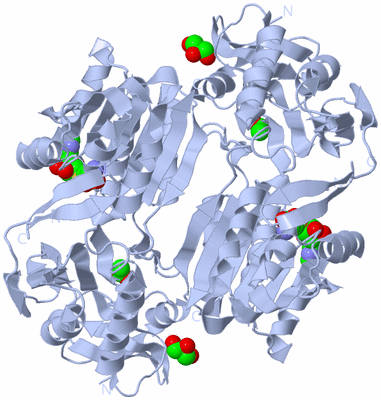 Image Biological Unit 1