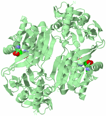 Image Biological Unit 2