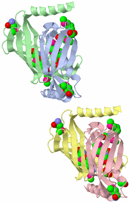 Image Asymmetric Unit