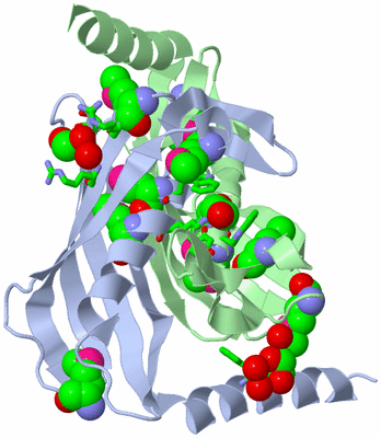 Image Biol. Unit 1 - sites