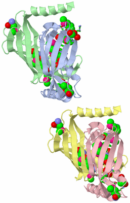 Image Asym. Unit - sites