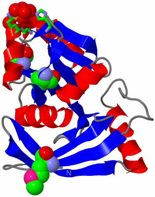 Image Asym./Biol. Unit - sites
