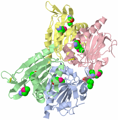 Image Asym./Biol. Unit