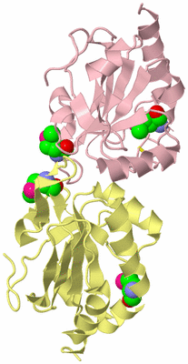 Image Biological Unit 2