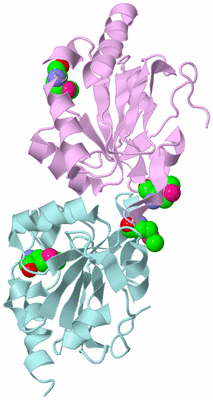 Image Biological Unit 3