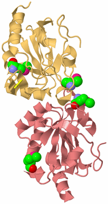 Image Biological Unit 4