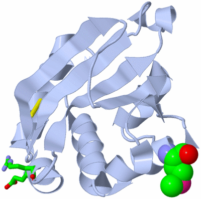 Image Biol. Unit 1 - sites