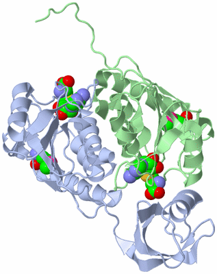 Image Asym./Biol. Unit