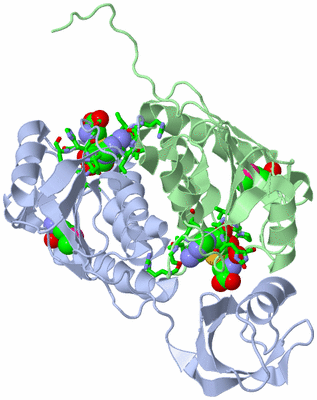 Image Asym./Biol. Unit - sites