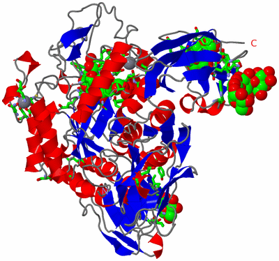 Image Asym./Biol. Unit - sites