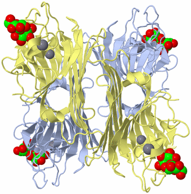 Image Biological Unit 1