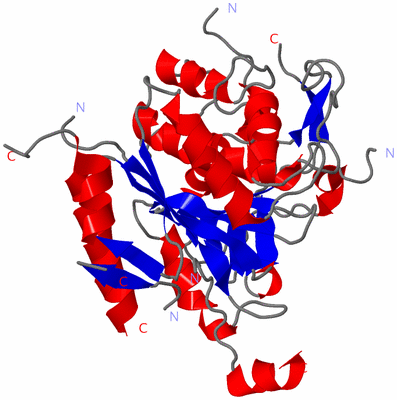 Image Asym./Biol. Unit