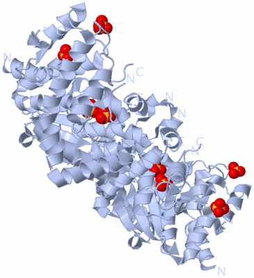 Image Biological Unit 1