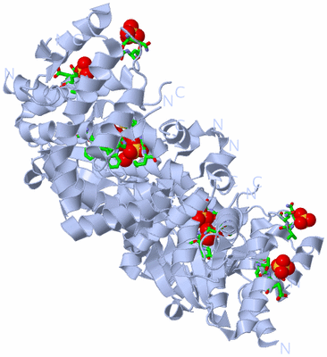 Image Biol. Unit 1 - sites