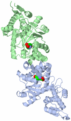 Image Asym./Biol. Unit