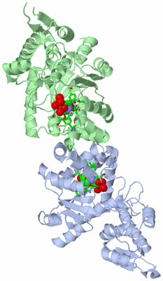 Image Asym./Biol. Unit - sites