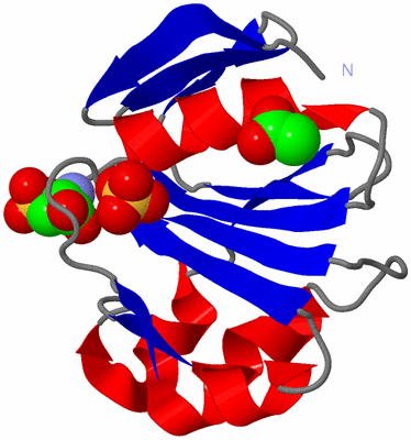 Image Asym./Biol. Unit