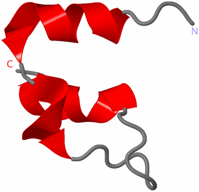 Image NMR Structure - model 1