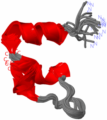 Image NMR Structure - all models