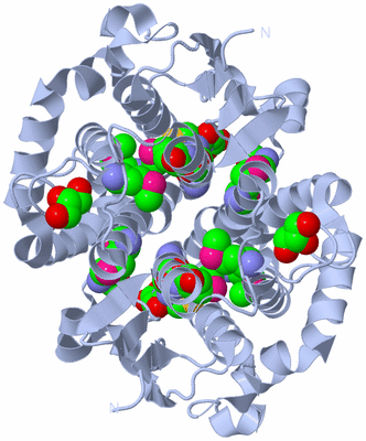 Image Biological Unit 1