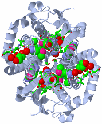 Image Biol. Unit 1 - sites