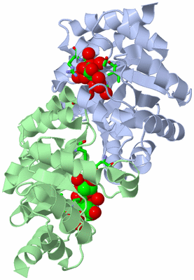 Image Asym./Biol. Unit - sites