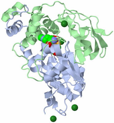 Image Biological Unit 1