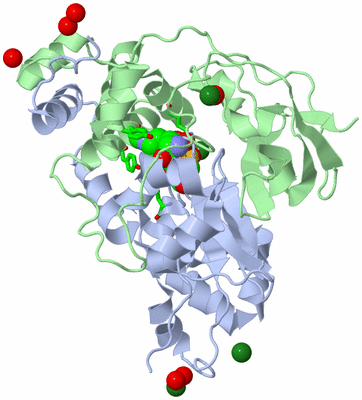 Image Biol. Unit 1 - sites