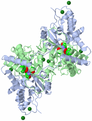 Image Biological Unit 2