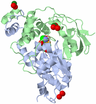 Image Biol. Unit 1 - sites