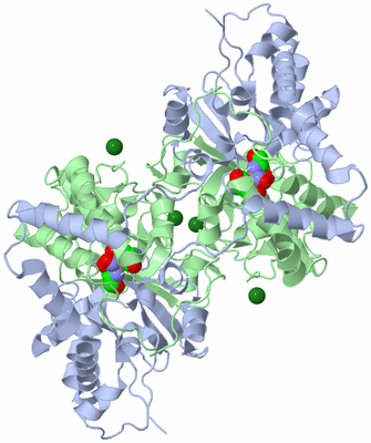 Image Biological Unit 2