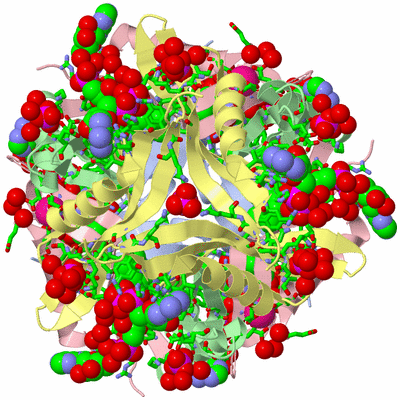 Image Biol. Unit 1 - sites