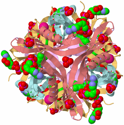 Image Biological Unit 2