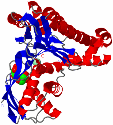 Image Asym./Biol. Unit