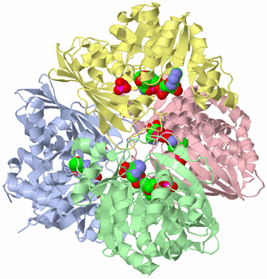 Image Asym./Biol. Unit